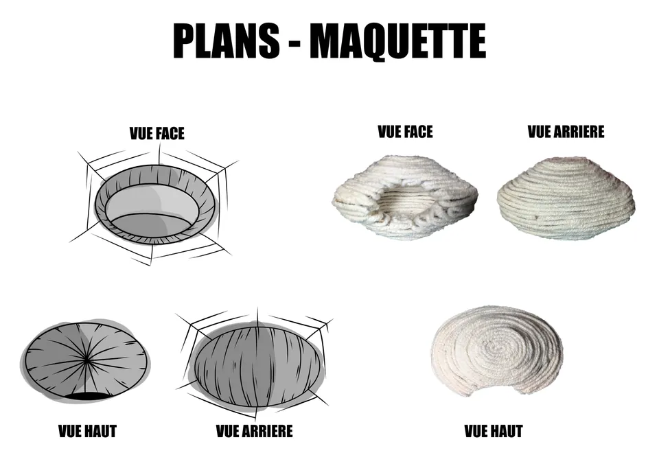 Dessins des cocons, vues de face, de dessus et arrière
